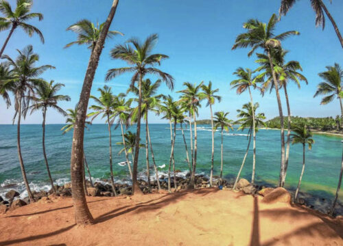 7-Day Sri Lanka Beach Tour