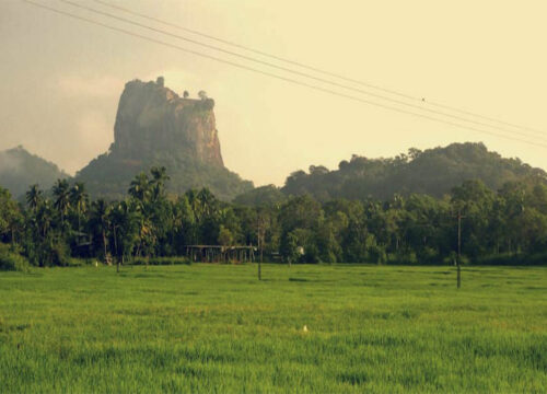 20 Days Sri Lanka Round Tour