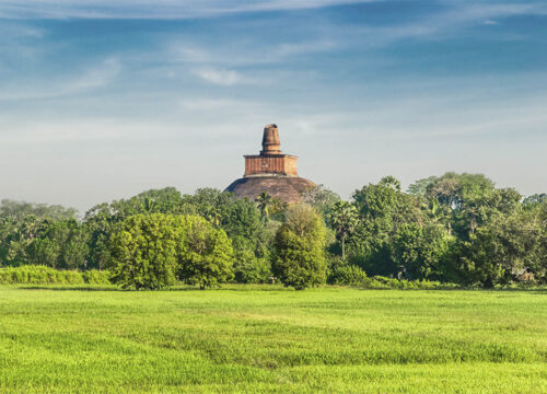 7-Day Sri Lanka Culture Tour