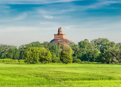 7-Day Sri Lanka Culture Tour