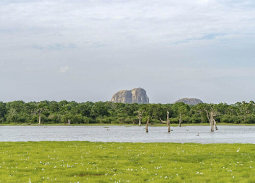 25 Days Sri Lanka Grand Leisure Tour