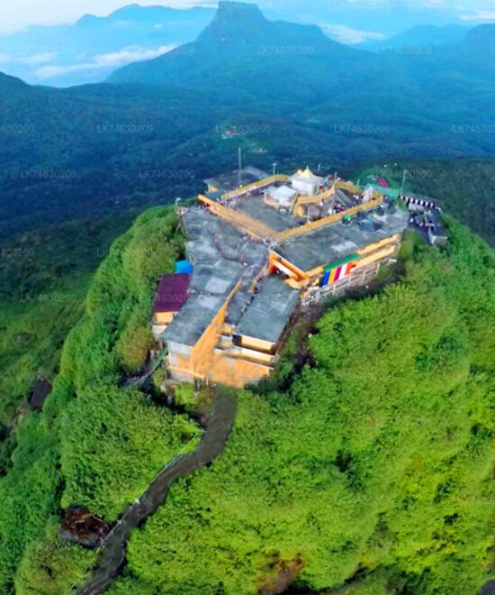 Adam’s Peak (Sri Pada) Pilgrimage Tour