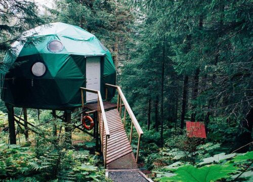 10 Day Sri Lanka Round Tour