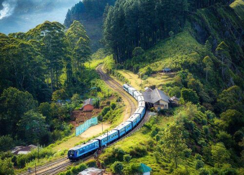 7 Day Sri Lanka Safari Tour